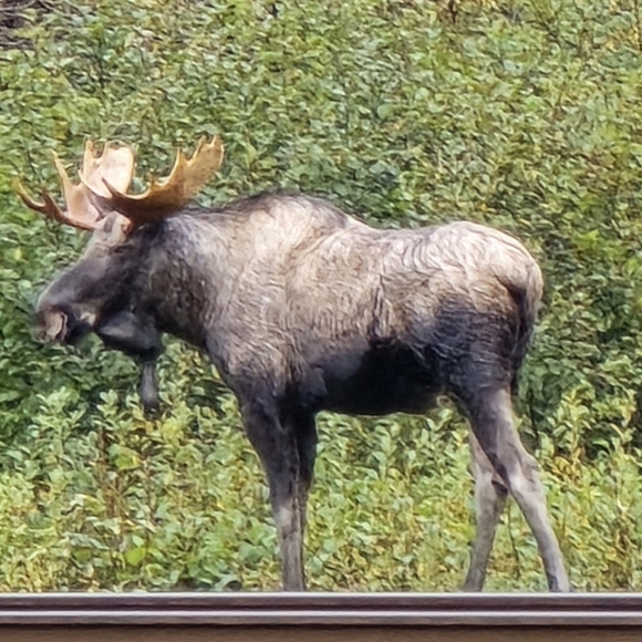 Meet your Posher, Heather - Picture 6 of 11